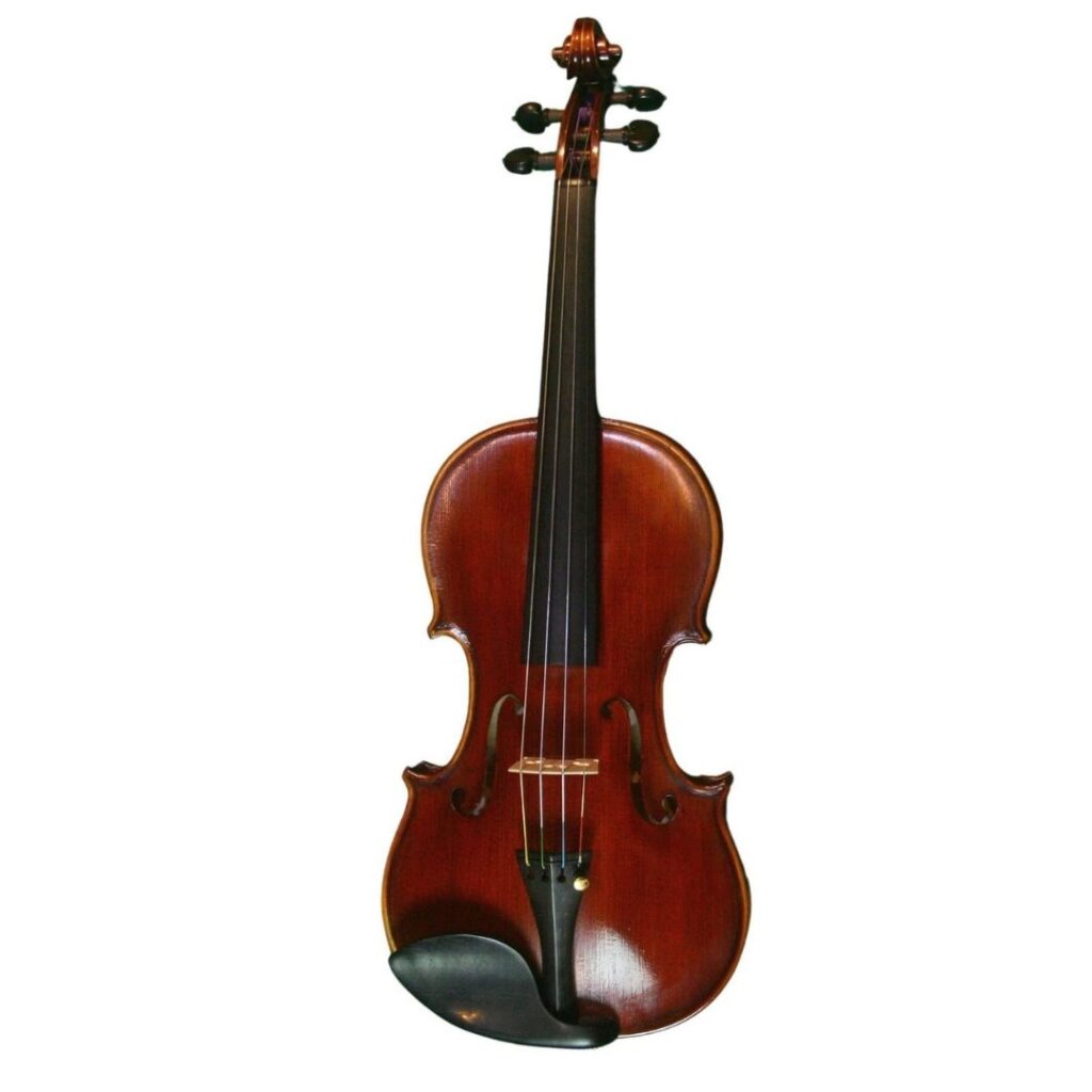木目の美しいバイオリンPaolo Alfaro （2019 Guarneri Violin 